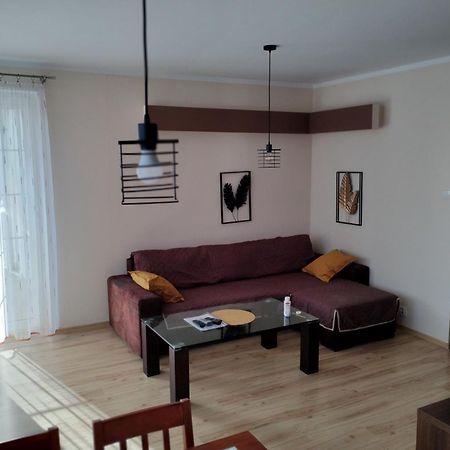 Green Apartment Z Bezplatnym Parkingiem Olsztyn  Exterior foto