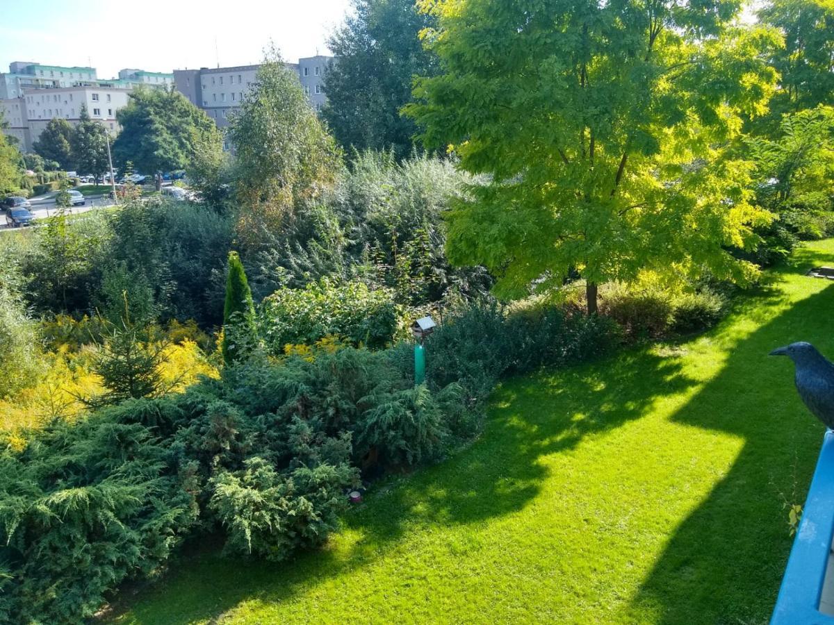 Green Apartment Z Bezplatnym Parkingiem Olsztyn  Exterior foto