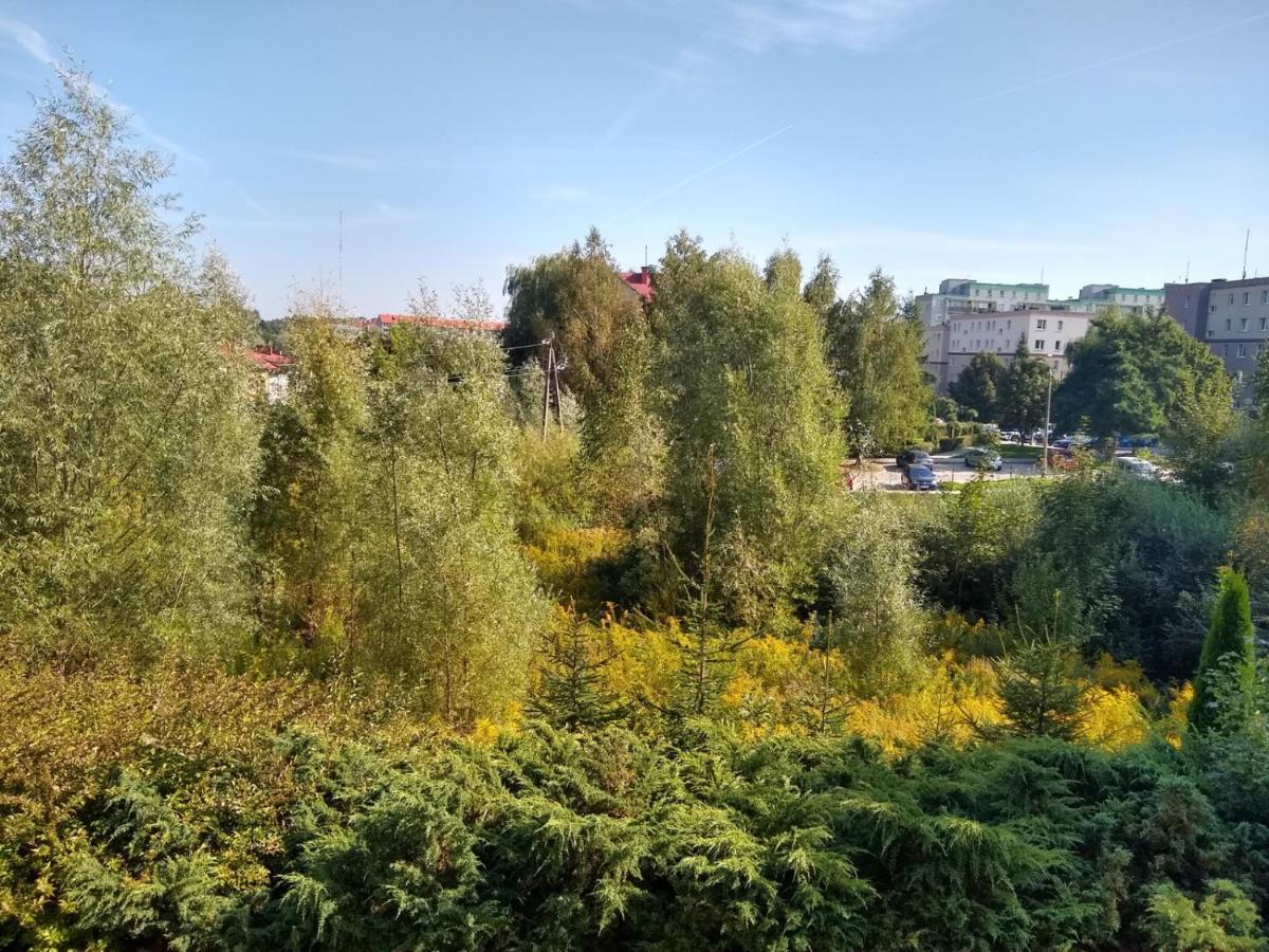 Green Apartment Z Bezplatnym Parkingiem Olsztyn  Exterior foto